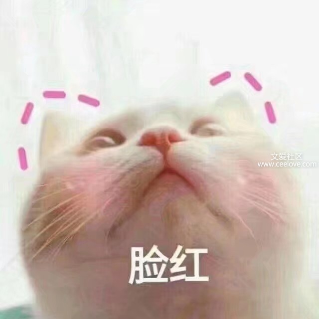 1564135776508.jpeg